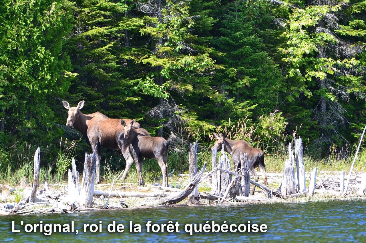 Club Tadoussac Villa Luaran gambar